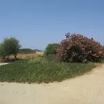 Διαμέρισμα αναστασία